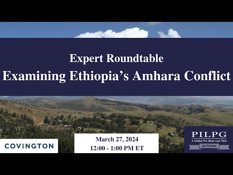 Expert Roundtable: Examining Ethiopia's Amhara Conflict