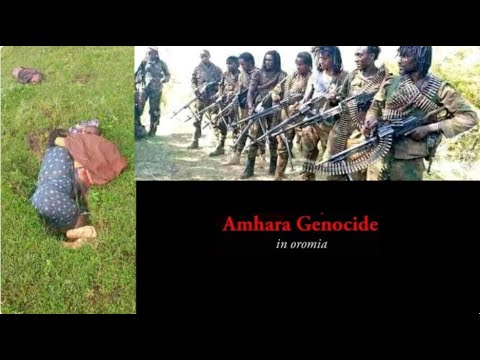 Amhara Genocide in Haro Addis Alem (Oromia, Ethiopia)