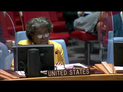 Remarks at a UN Security Council Briefing on the Grand Ethiopian Renaissance Dam