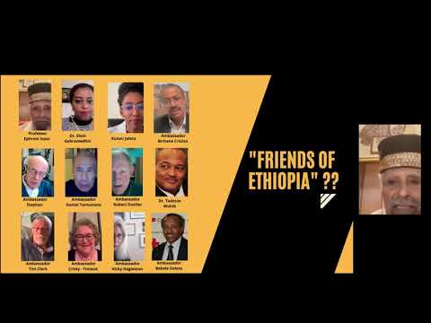 Friends of Ethiopia - How  ranking officials from the US, EU and UN conspired against Ethiopia.