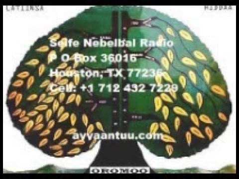 Seife Nebelbal Radio, February 12, 2016