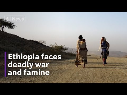 Deadly combination of war and drought leaves Ethiopia facing famine