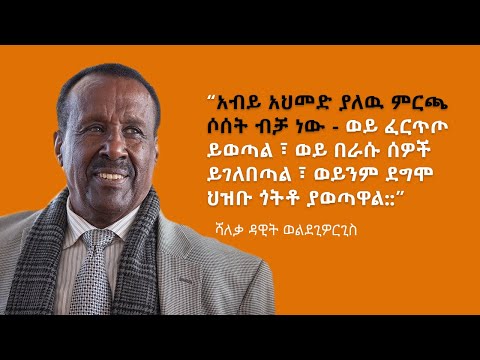 ኢትዮጵያዊው ዓለም አቀፍ የፖለቲካ ባለሙያ ሻለቃ ዳዊት ወልደጊዎርጊስ በሜልበርን አውስትራሊያ |