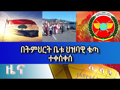 Ethiopia -Esat Amharic News December 04 2022