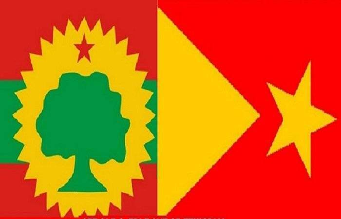 TPLF OLF Ethiopia