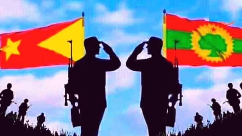 TPLF OLF