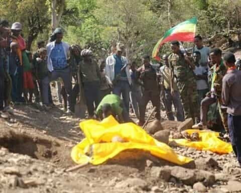 Amnesty,Ethiopia,Ethiopia News,Ethiopian news,Google News Ethiopia