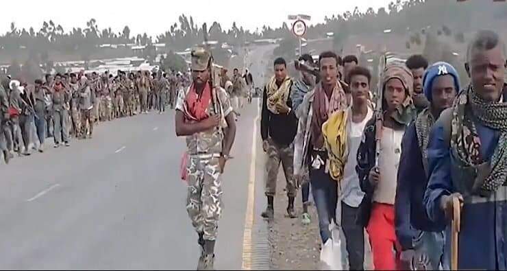 TPLF war Kobo