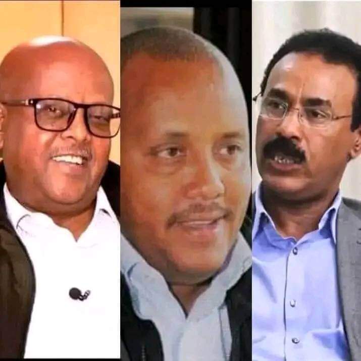 Tplf 2