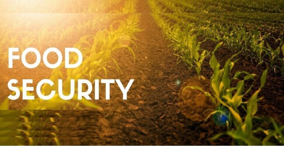 Food Security