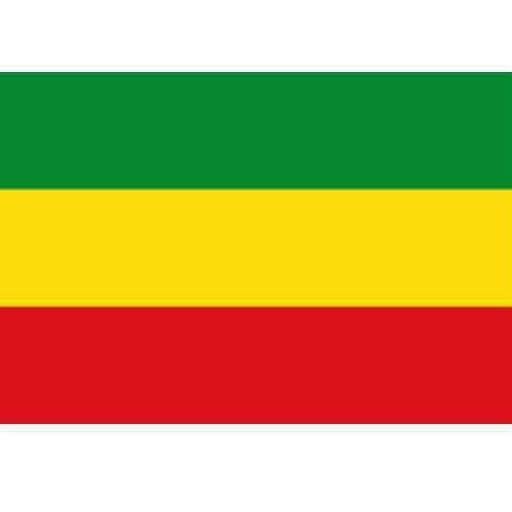 cropped Ethiopia Flag 1 1