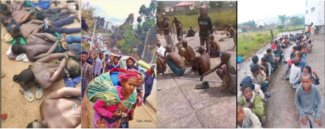 Oromo Sickness 1 1 1