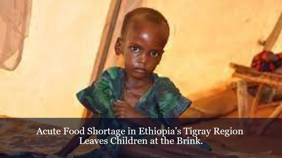 tigray hunger