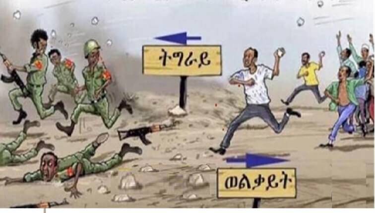 TPLF and Amhara People