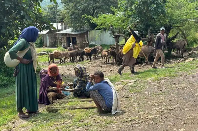 Villagers in Awra Amba