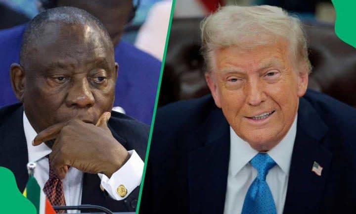 Trum,Arabs,South Africa